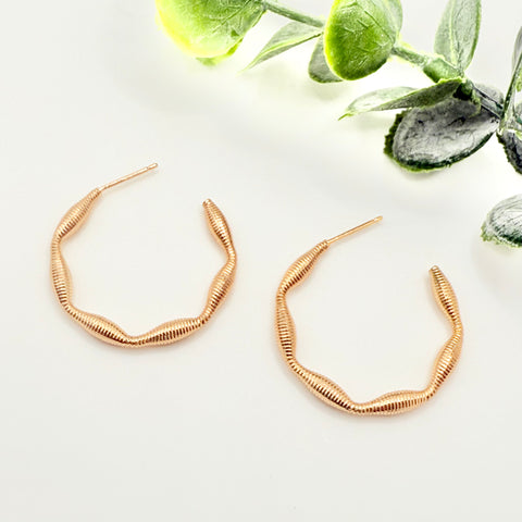 Boucles d’oreilles E436