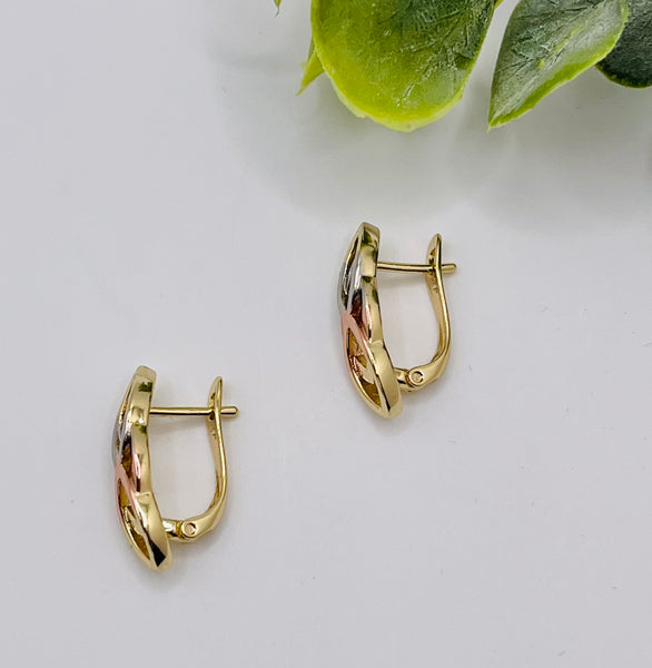 Boucles d’oreilles E315