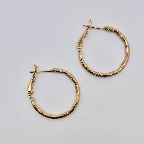Boucles d’oreilles E437