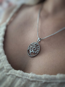 Arbre argenté