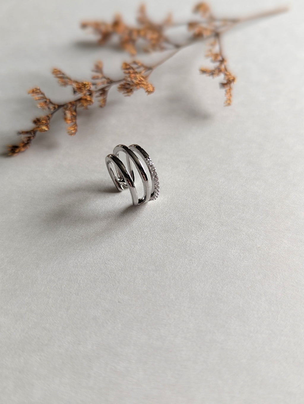 Bagues d’oreilles