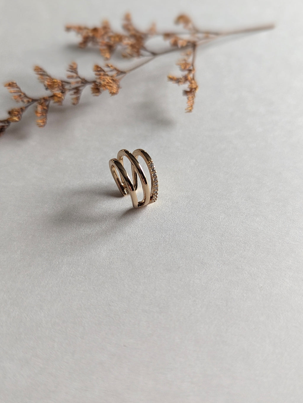 Bagues d’oreilles
