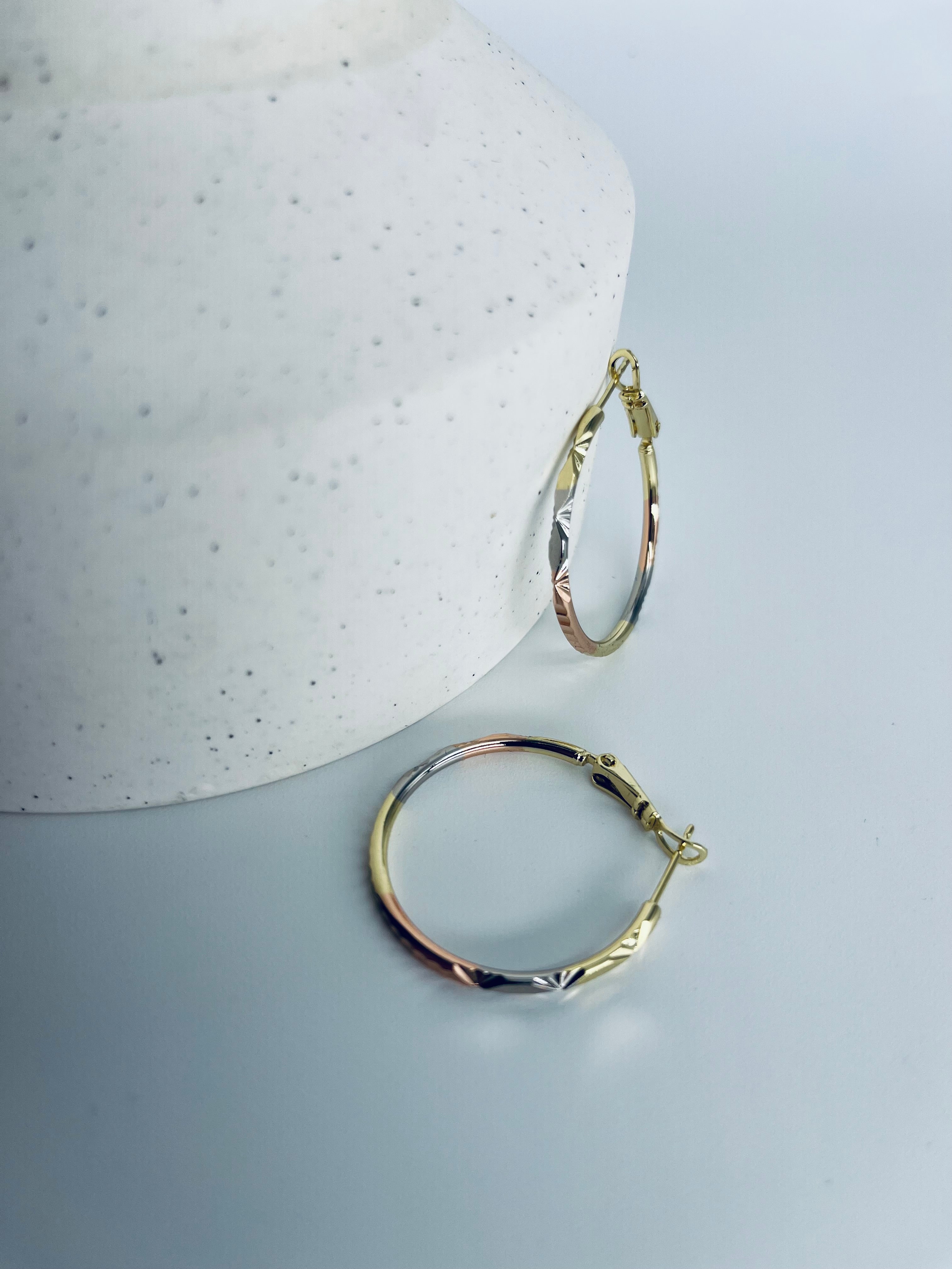 Boucles d'oreilles E302